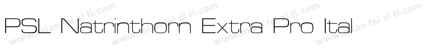 PSL Natrinthorn Extra Pro Italic字体转换